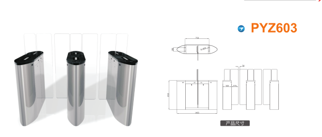 泉州晋江区平移闸PYZ603